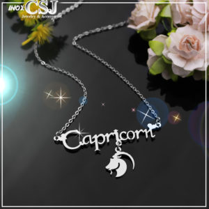 dây chuyền inox cung hoang đạo ma kết, vòng cổ capricorn