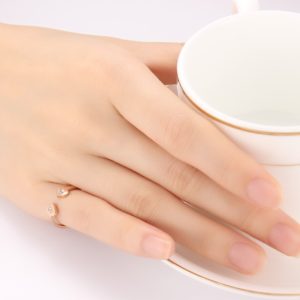 Nhẫn titan 2 trái tim mạ vàng hồng cực xinh giá rẻ không đen vĩnh viễn, nơi chuyên bán sỉ nhẫn titan, nhẫn nữ titan trái tim giá sỉ rẻ nhất thị trường HCM và Hà Nội,