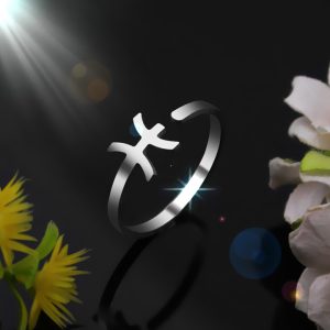 HD202 Nhẫn inox 12 cung hoàng đạo - song ngư pisces 19/2 đến 20/3