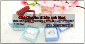 CSJ chuyên bán sỉ, bỏ sỉ hộp quà tặng trang sức phụ kiện đa dạn mẫu mã giá tốt
