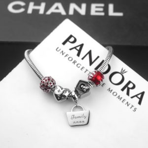 Lắc vòng tay titan phong cách Pandora TA324