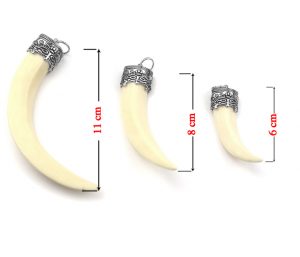 Mặt dây chuyền nanh heo giả đầu chụp titan xin sò