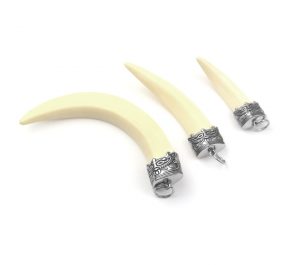 Mặt dây chuyền nanh heo giả đầu chụp titan xin sò