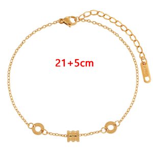 TA658b-Lắc chân titan ống tròn nhỏ số la mã hiệu BVL