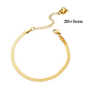 TA648c Lắc chân titan mì dẹp