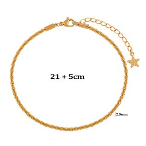 TA668a Lắc chân nữ titan xoắn trơn màu vàng