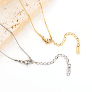 TN676c Dây chuyền sợi mì titan trơn không mặt