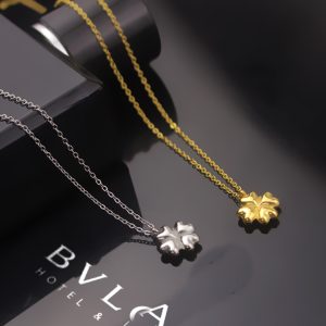 TN490 Dây chuyền titan cỏ 4 lá may mắn